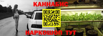 крисы Кунгур