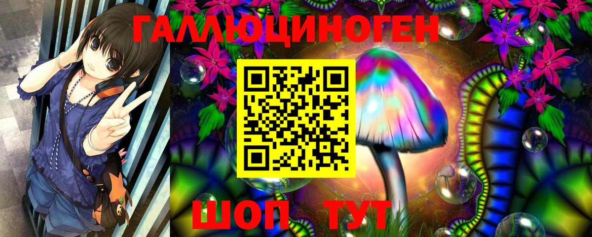 Псилоцибиновые грибы Psilocybine cubensis  Вход с VPN  Железногорск  наркотики  Псилоцибиновые грибы прущие грибы 